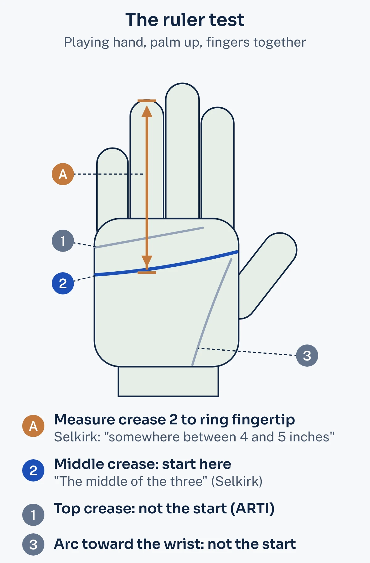 A palm-up hand with three palm creases numbered: 1 the top crease, 2 the middle crease, 3 the arc toward the wrist. An arrow runs along the ring finger from crease 2 to the fingertip, marked as the measurement.