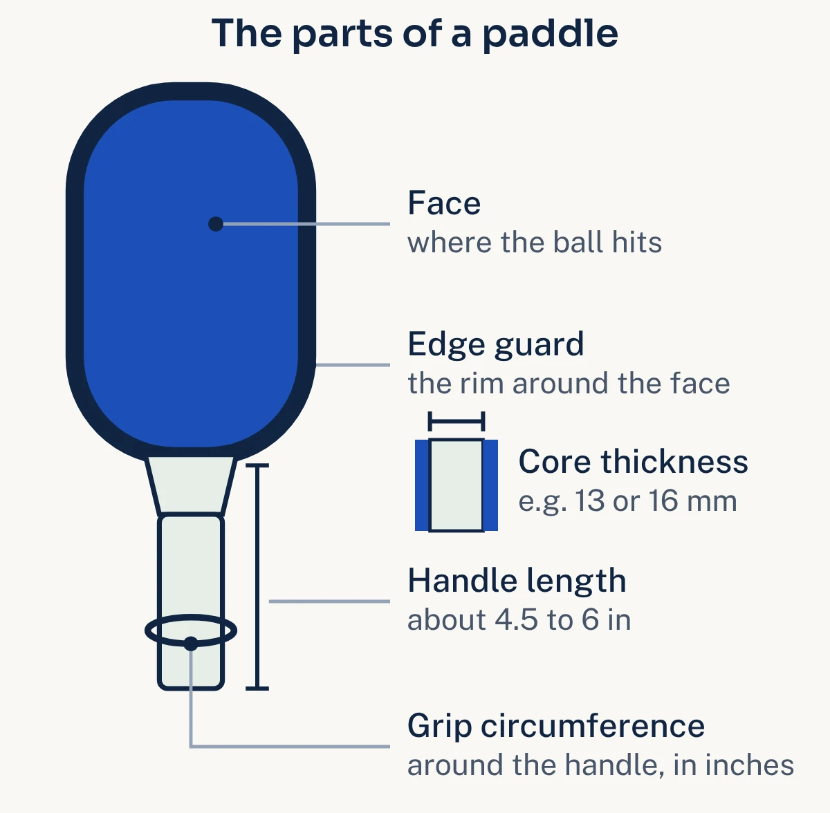 A paddle drawn from the front with its face, edge guard, handle length and grip circumference labelled, and a side view showing core thickness